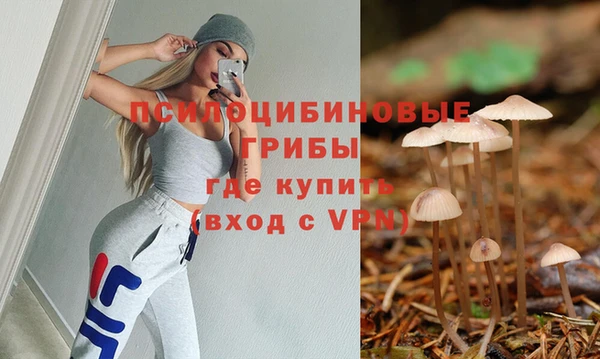 прущие крисы Осинники