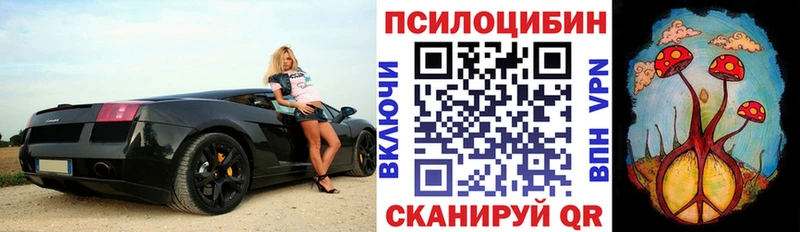 маркетплейс наркотические препараты  Коммунар  Галлюциногенные грибы MAGIC MUSHROOMS 
